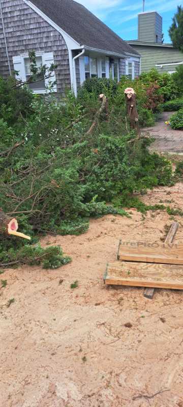 Sandoval Brothers Services LLC